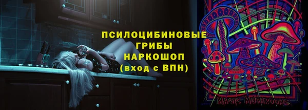 хмурый Медногорск